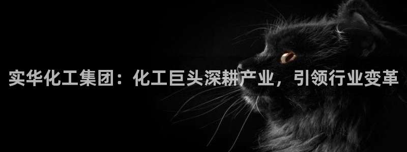 球盟会进不去