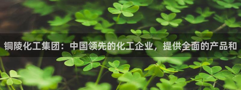 球盟会有限公司怎么样：铜陵化工集团：中国领先的化工企业，提供