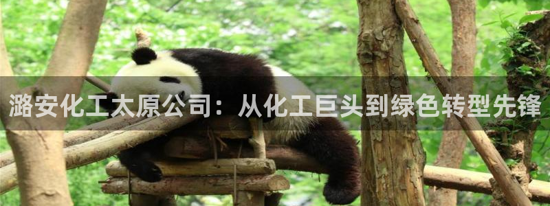 球盟会网页版登陆
