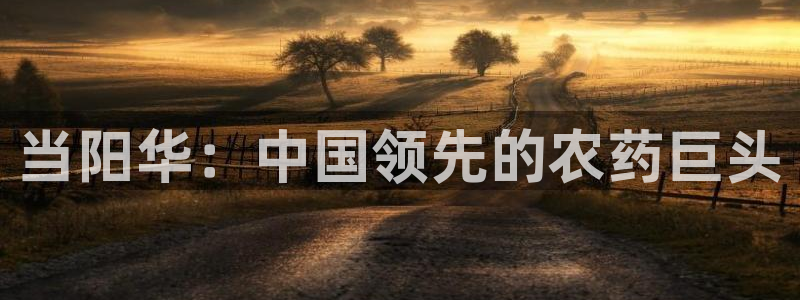 球盟会有没有黑单的人：当阳华：中国领先的农药巨头