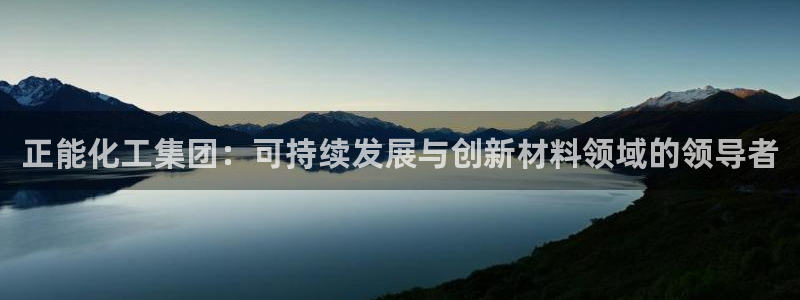 球盟会进不去：正能化工集团：可持续发展与创新材料领域的领导者