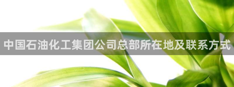 球盟会App