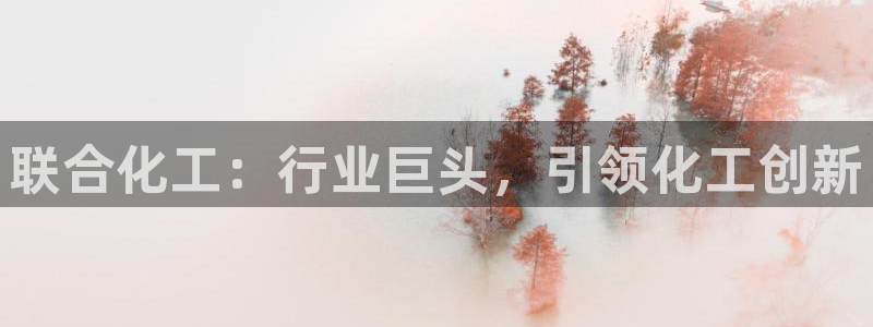 球盟会可以提现么