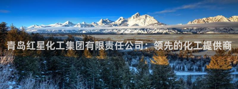 球盟会游戏几点玩合适：青岛红星化工集团有限责任公司：领先的化