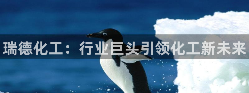 球盟会有限公司怎么样