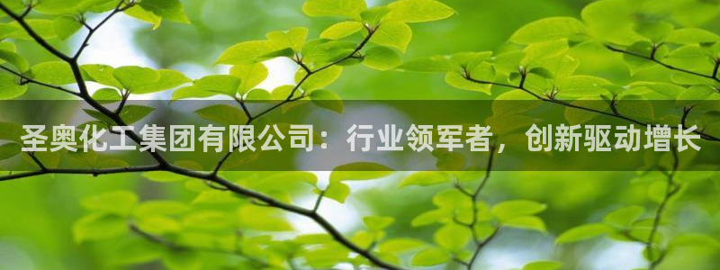 球盟会手机网页版