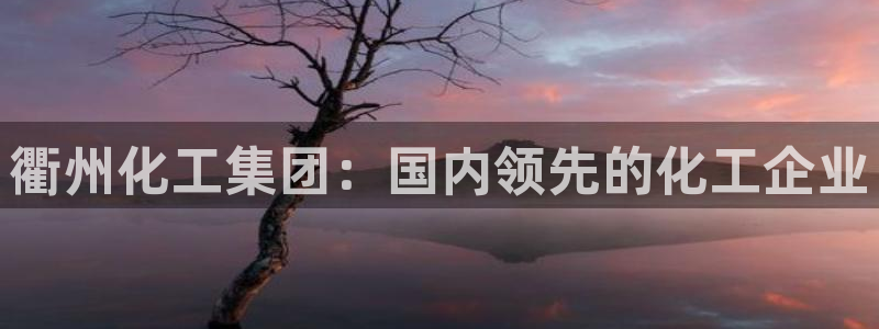 球盟会和中欧合作吗