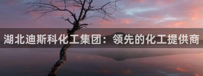 球盟会网页版登陆：湖北迪斯科化工集团：领先的化工提供商