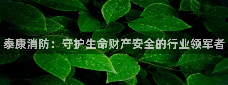 球盟会出款黑了