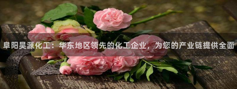 球盟会有没有黑单的球员：阜阳昊源化工：华东地区领先的化工企业
