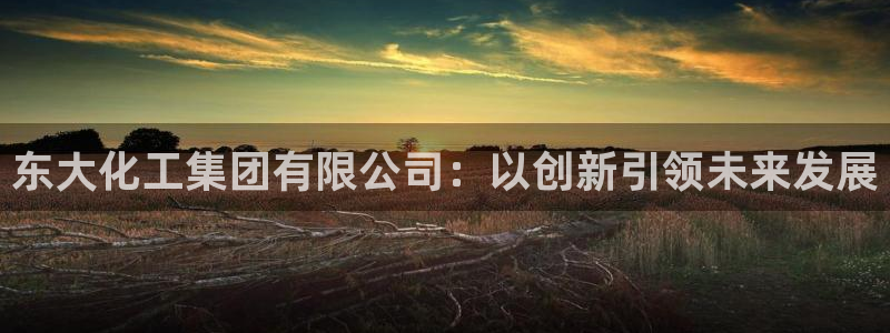 球盟会网页版登陆：东大化工集团有限公司：以创新引领未来发展