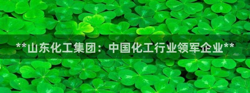 球盟会app网址多少：**山东化工集团：中国化工行业领军企业