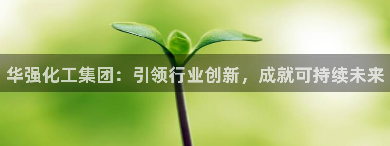 球盟会进不去