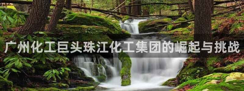 球盟会app网址多少号