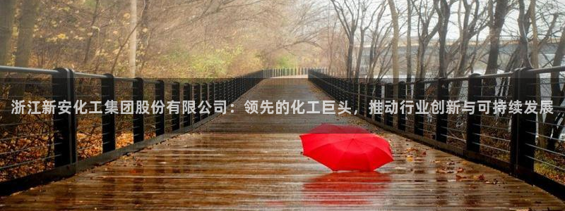 球盟会app最新地址在哪看：浙江新安化工集团股份有限公司：领