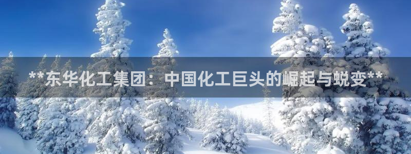 球盟会下载最新版