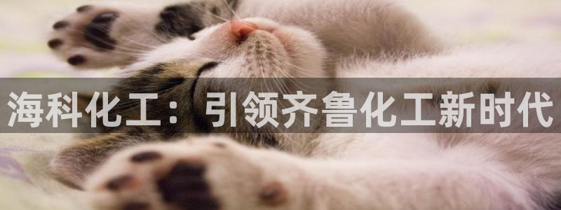 球盟会有没有黑单的球员：海科化工：引领齐鲁化工新时代