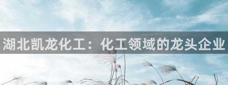 球盟会黑网