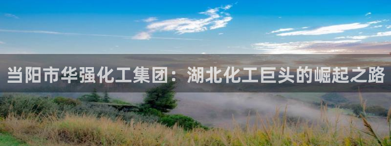 球盟会APP官网