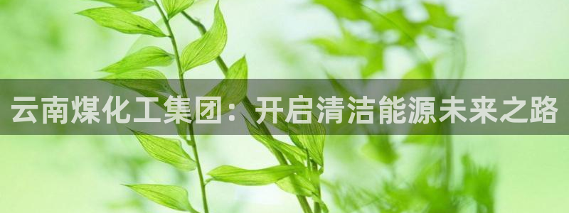 球盟会有没有黑单的活动：云南煤化工集团：开启清洁能源未来之路