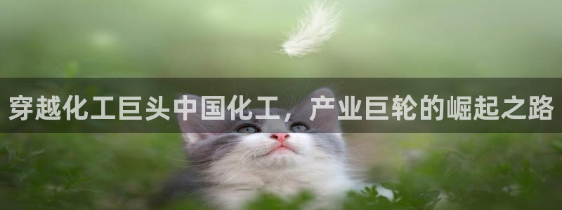 球盟会qmh