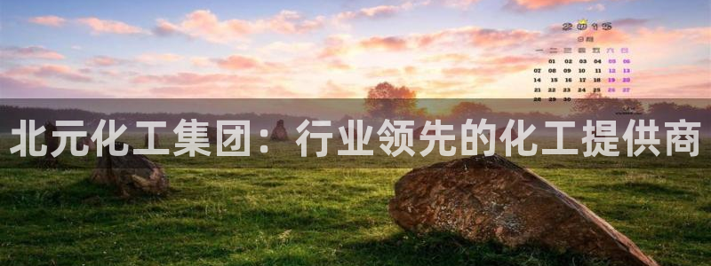球盟会有没有黑单的球员：北元化工集团：行业领先的化工提供商
