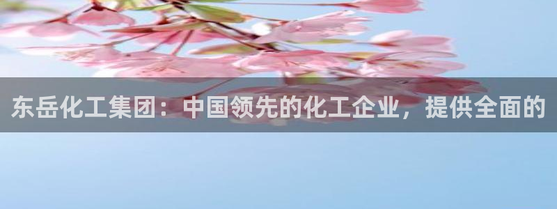 球盟会app最新地址在哪：东岳化工集团：中国领先的化工企业，