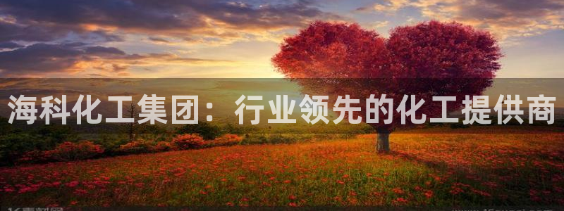 球盟会能提现吗是真的吗：海科化工集团：行业领先的化工提供商