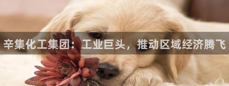 千亿球盟会乐玩