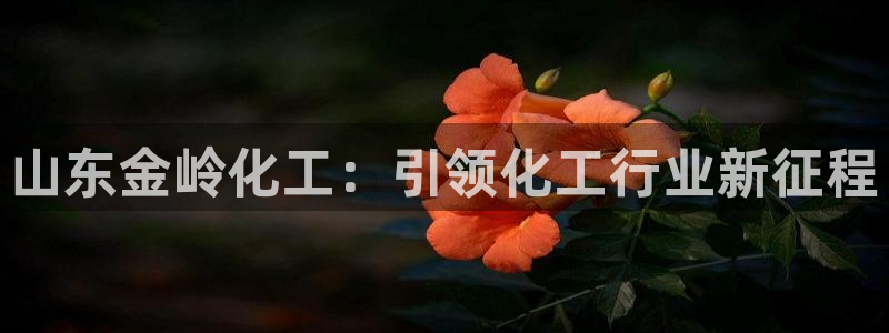球盟会官方网站入口