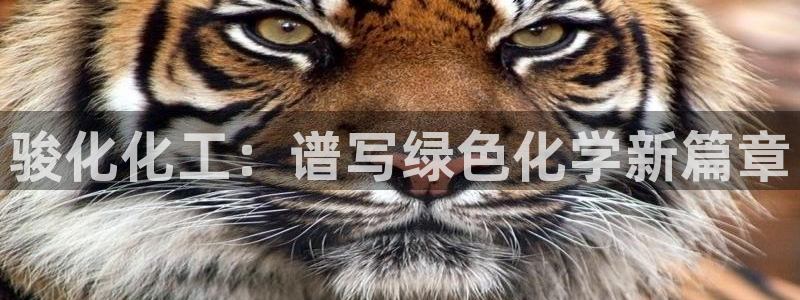 球盟会APP官网：骏化化工：谱写绿色化学新篇章