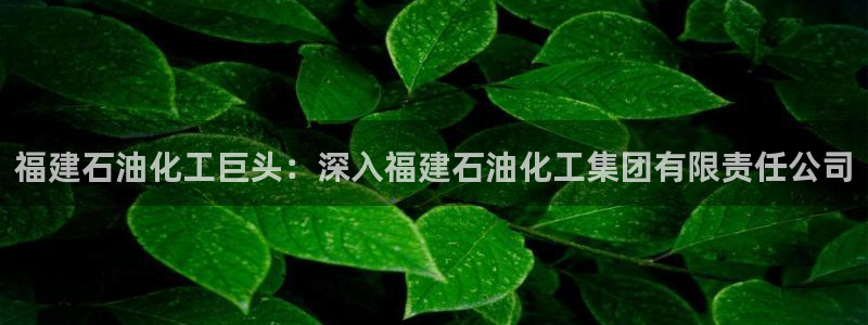 球盟会qmh官网：福建石油化工巨头：深入福建石油化工集团有限