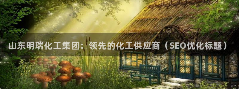 球盟会入口：山东明瑞化工集团：领先的化工供应商（SEO优化标