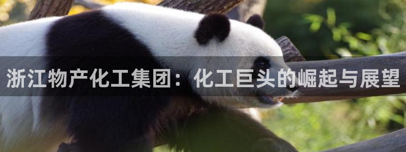 球盟会综合体育平台怎么样