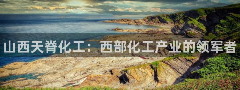 球盟会进不去球员吗