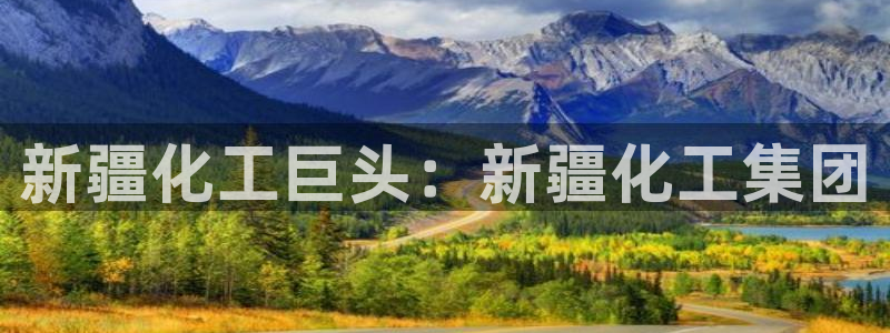球盟会入口