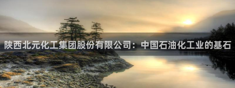 球盟会登陆中心：陕西北元化工集团股份有限公司：中国石油化工业