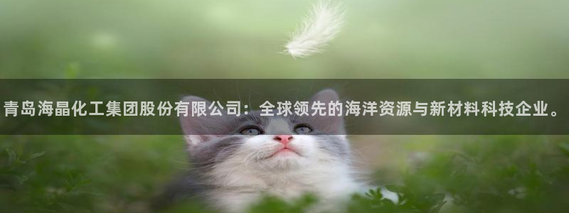 球盟会app网址多少：青岛海晶化工集团股份有限公司：全球领先