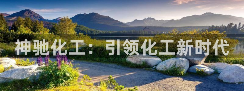 球盟会登录平台：神驰化工：引领化工新时代
