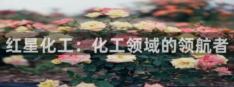 球盟会能提现吗是真的吗：红星化工：化工领域的领航者
