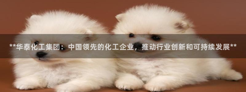 球盟会在线登入：**华泰化工集团：中国领先的化工企业，推动行