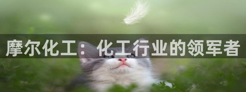 球盟会游戏几点玩合适