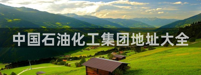 球盟会官网入口