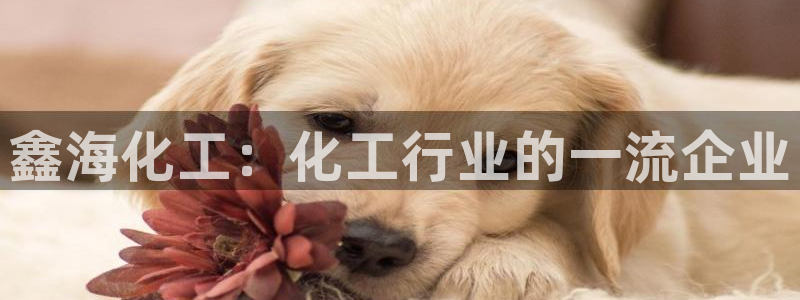 球盟会qmh：鑫海化工：化工行业的一流企业