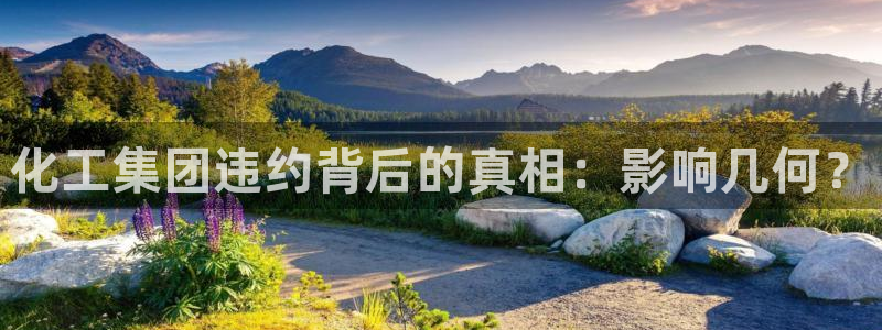 球盟会app网址多少