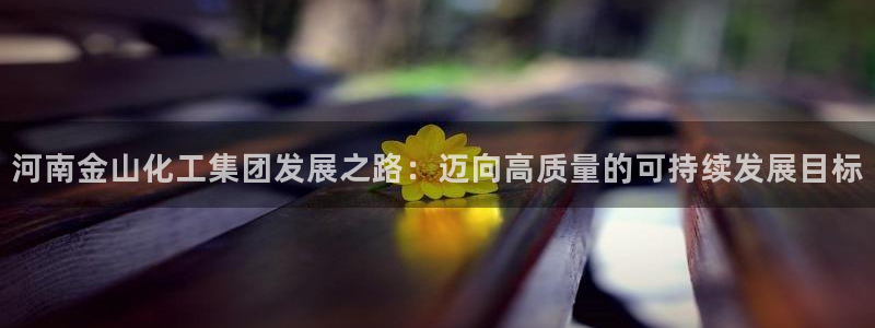 球盟会app最新地址下载：河南金山化工集团发展之路：迈向高质