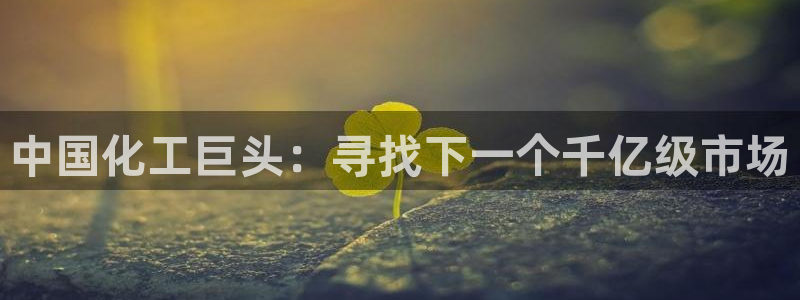 球盟会APP最新地址：中国化工巨头：寻找下一个千亿级市场