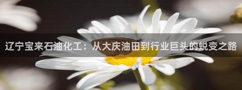 球盟会登陆中心