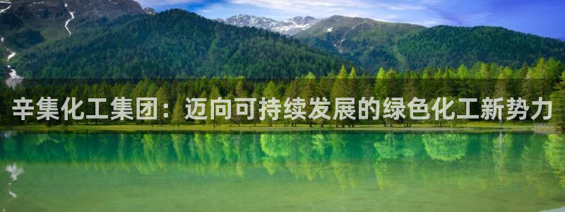 球盟会游戏：辛集化工集团：迈向可持续发展的绿色化工新势力