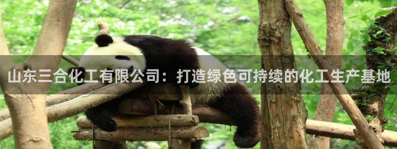 球盟会平台会黑单吗：山东三合化工有限公司：打造绿色可持续的化